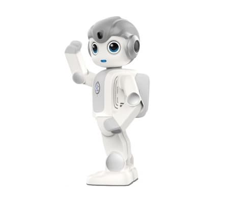 De Alpha Mini-robot, aangestuurd via het Maatje-platform